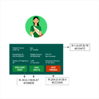 Mitanin Colour Scheme Sample.jpg